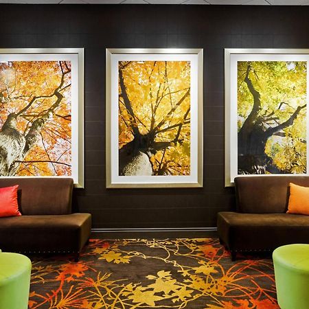 Sheraton Springfield Monarch Place Hotel Exteriér fotografie